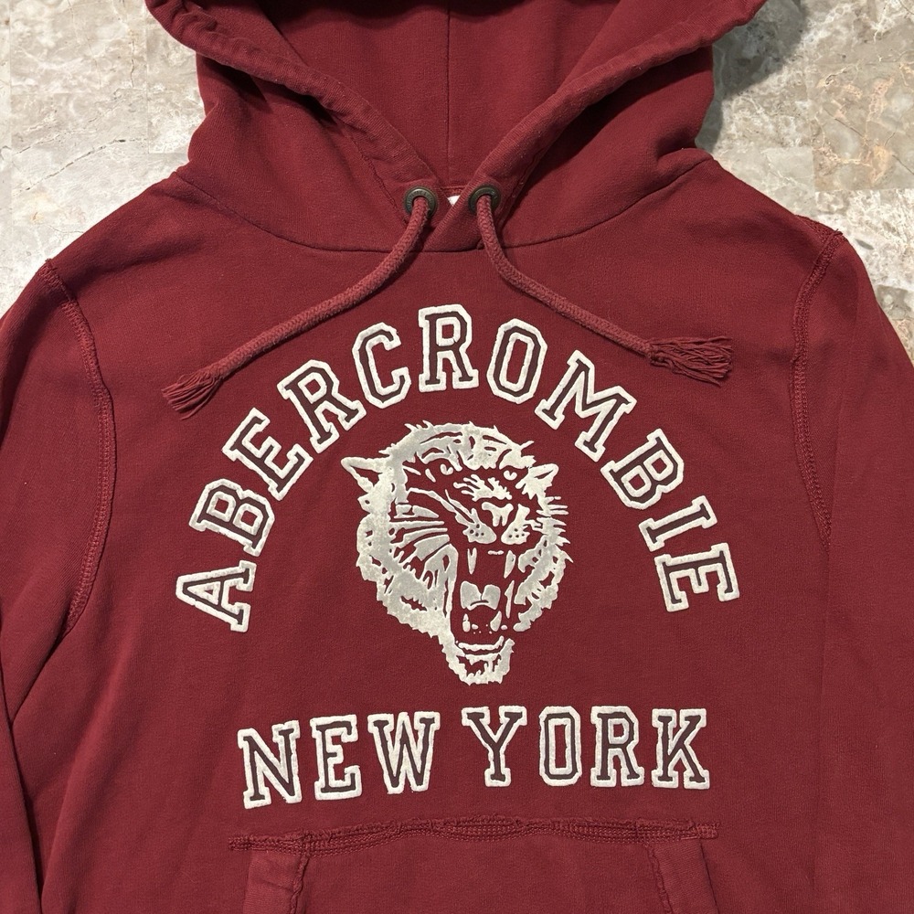 Abercrombie & Fitch Hoodie Mens Large Tigers New York Spellout Logo Vintage Y2K